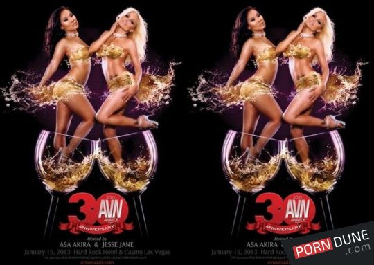 2013 AVN 頒獎典禮