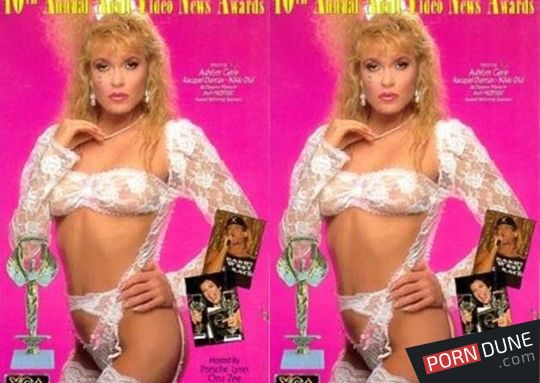 1993 年 AVN 頒獎典禮